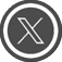 x icon